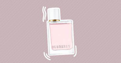 mr burberry dupe|burberry her blossom dupe.